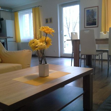 Rodinny Apartman Lucie V Blizkosti Wellness Hotelu Ve Frymburku 外观 照片