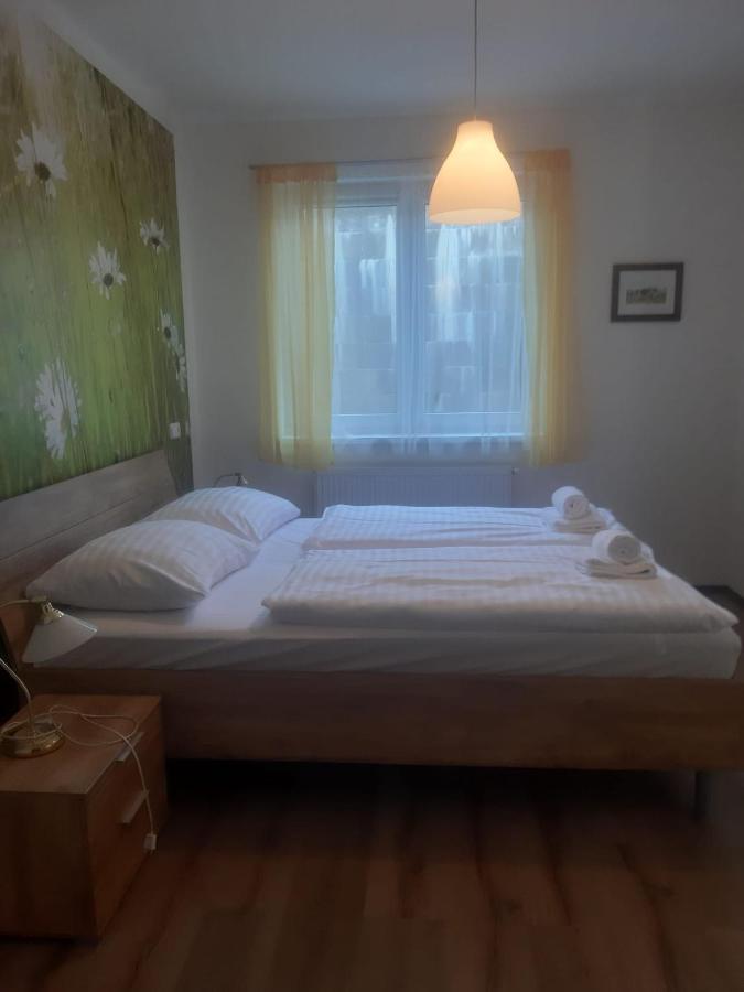 Rodinny Apartman Lucie V Blizkosti Wellness Hotelu Ve Frymburku 外观 照片